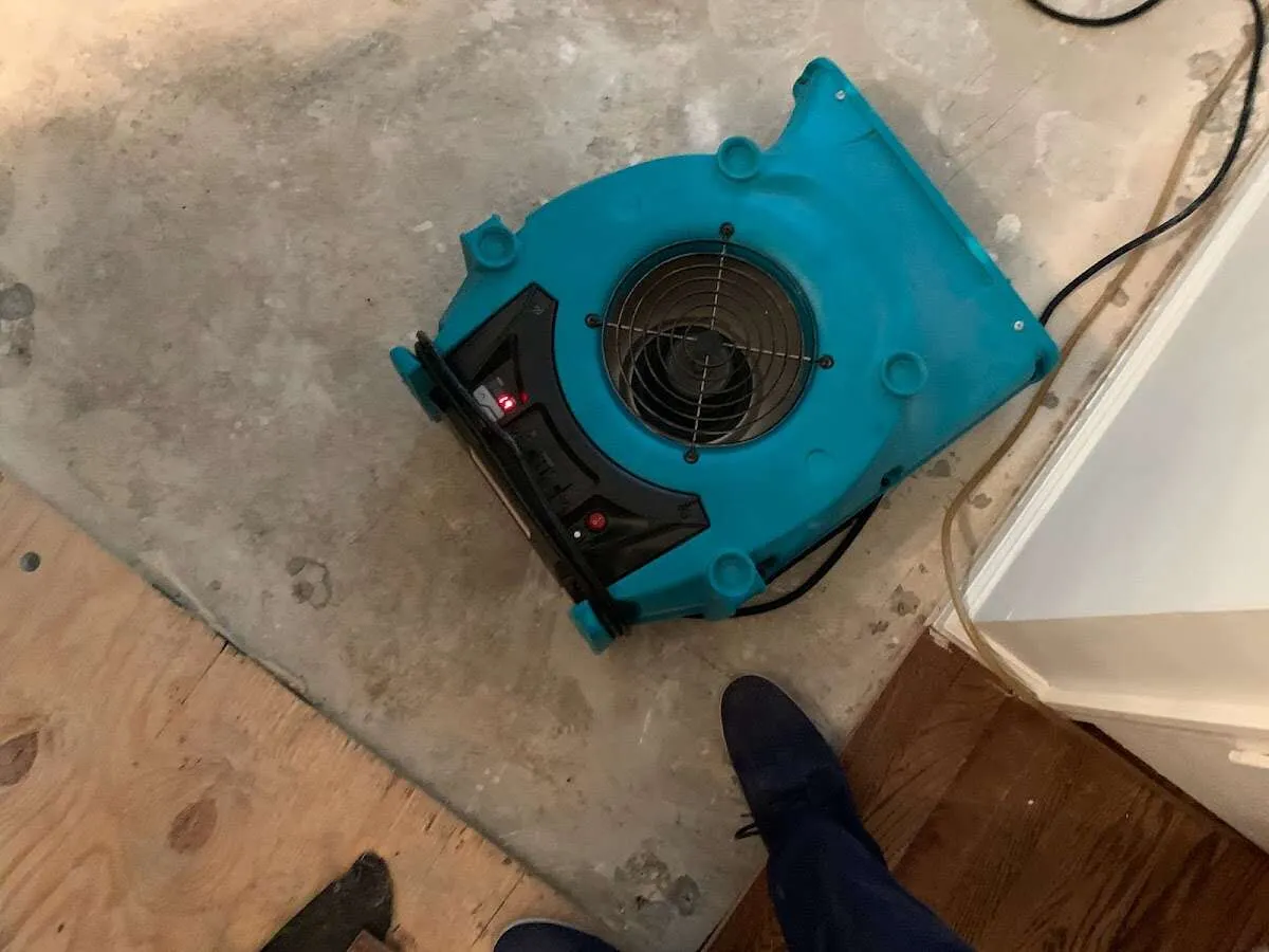Air mover drying subfloor during Commercial Water Damage Restoration in McKees Rocks