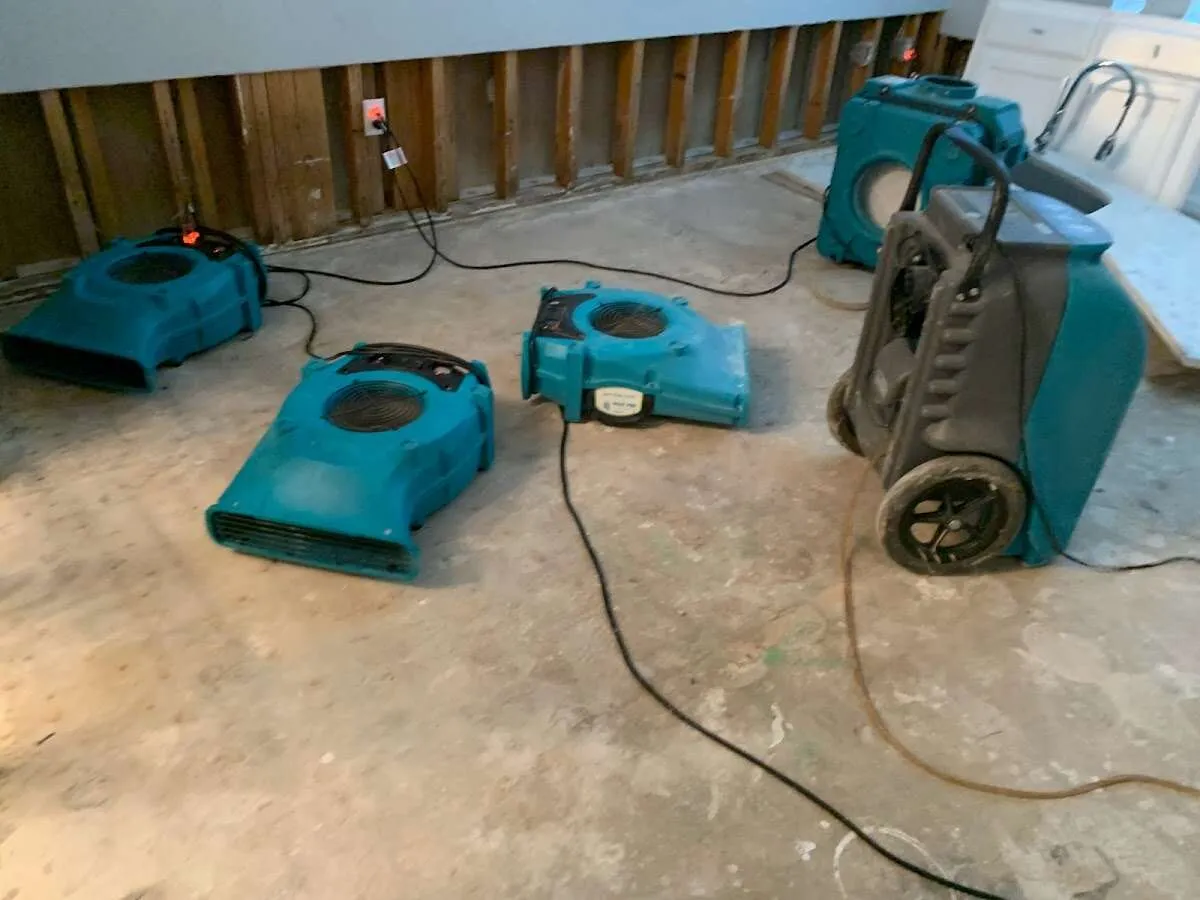 Basement Flood Cleanup in McKees Rocks, PA